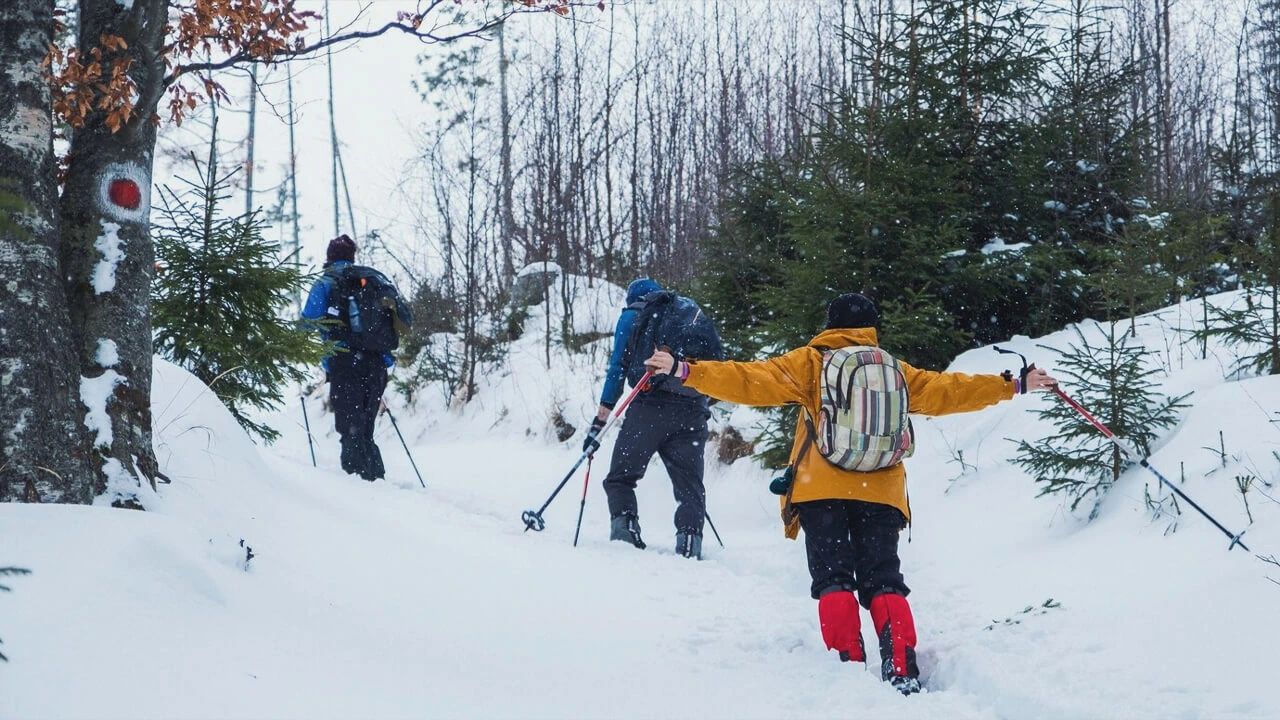 Découvrir la montagne en hiver autrement...